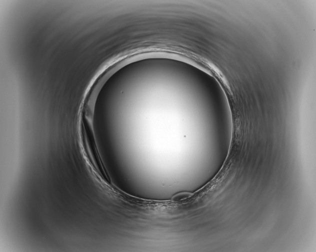 X0000094351530200711021423