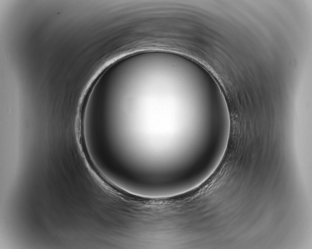 X0000094351531200711021423