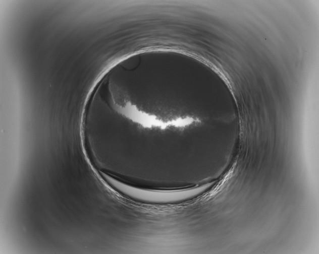 X0000094351533200711021424