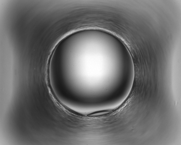 X0000094351534200711021424