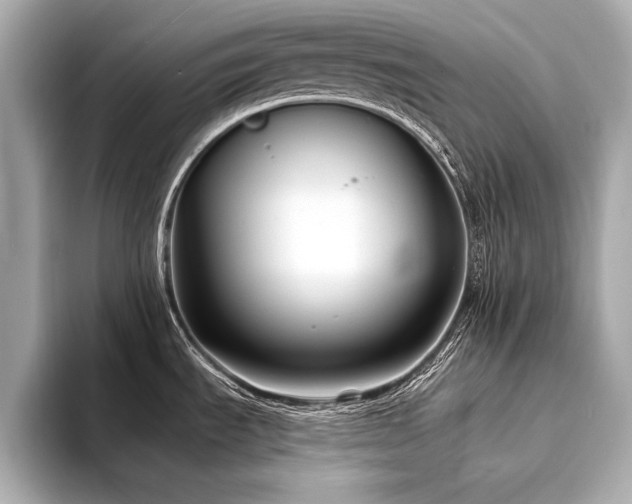 X0000094351535200711021424