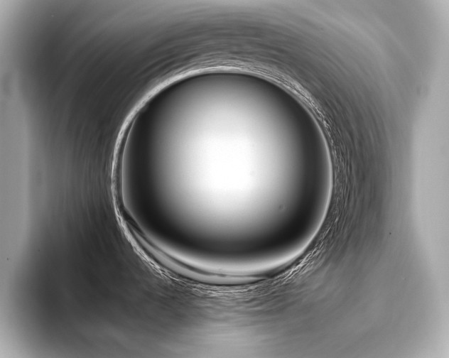 X0000094351536200711021424