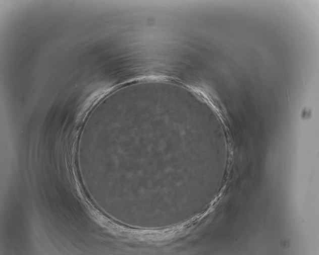 X0000094350001200711091503