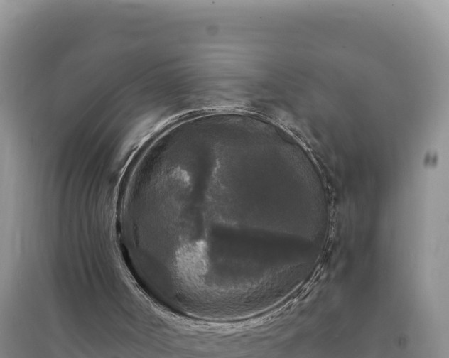 X0000094350002200711091503