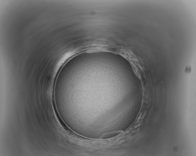 X0000094350003200711091503