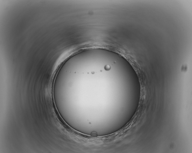 X0000094350004200711091503