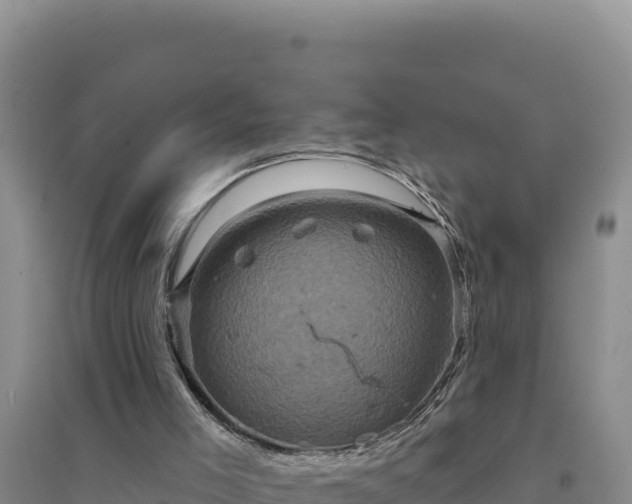 X0000094350005200711091503