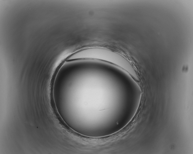 X0000094350006200711091503