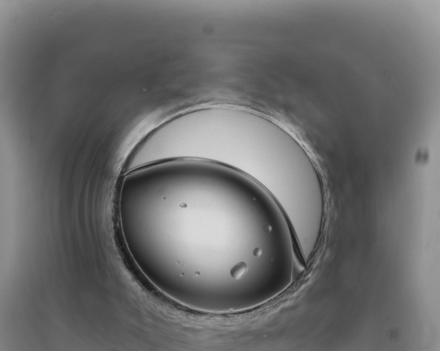 X0000094350007200711091503