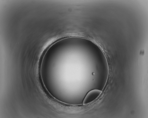 X0000094350008200711091503