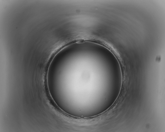 X0000094350010200711091502