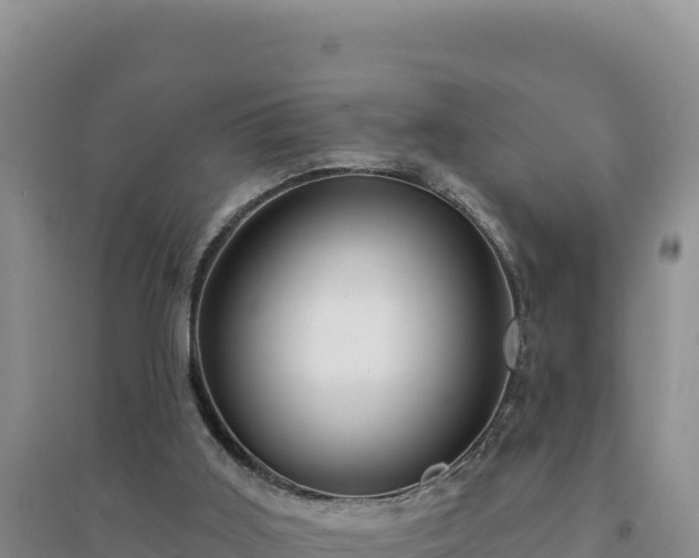 X0000094350011200711091502