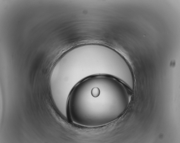 X0000094350013200711091502