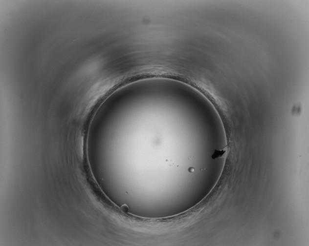 X0000094350014200711091502