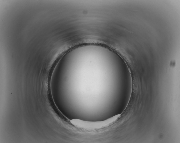 X0000094350015200711091502