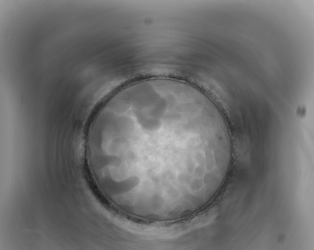 X0000094350016200711091502