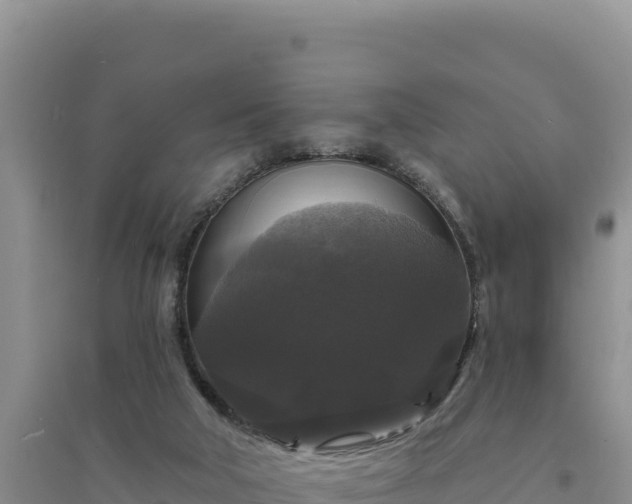 X0000094350018200711091502