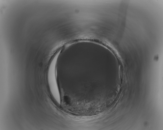 X0000094350019200711091502