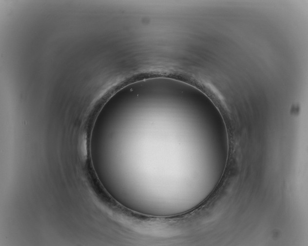 X0000094350020200711091502