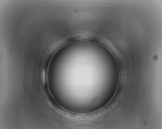 X0000094350022200711091502