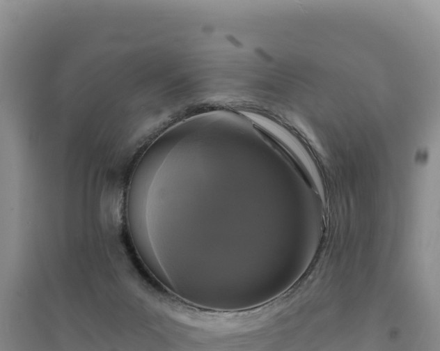 X0000094350023200711091502