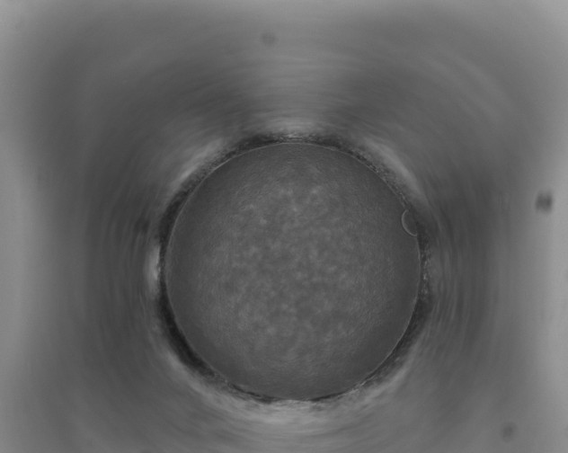 X0000094350024200711091502