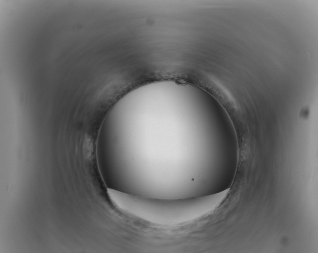 X0000094350025200711091502