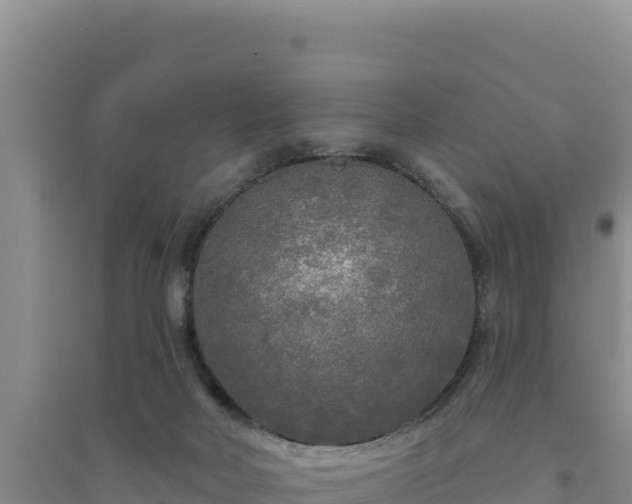 X0000094350026200711091502