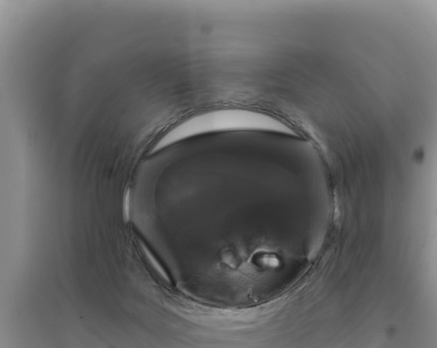 X0000094350027200711091502