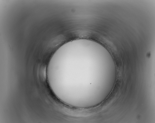 X0000094350028200711091502