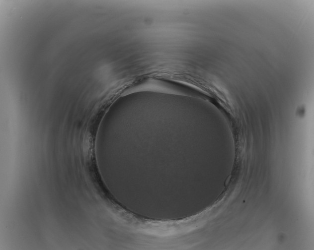 X0000094350029200711091502