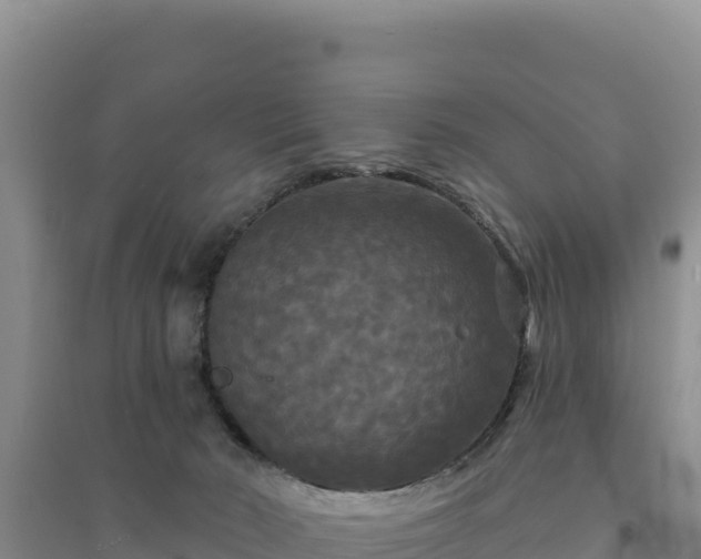 X0000094350030200711091502