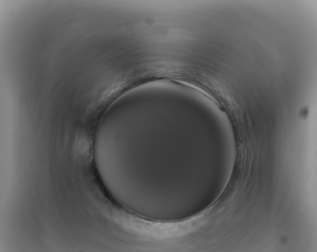 X0000094350031200711091502