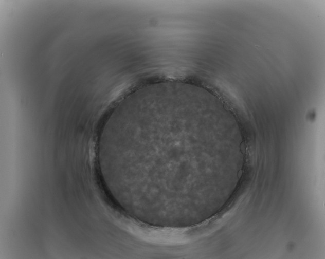 X0000094350032200711091502