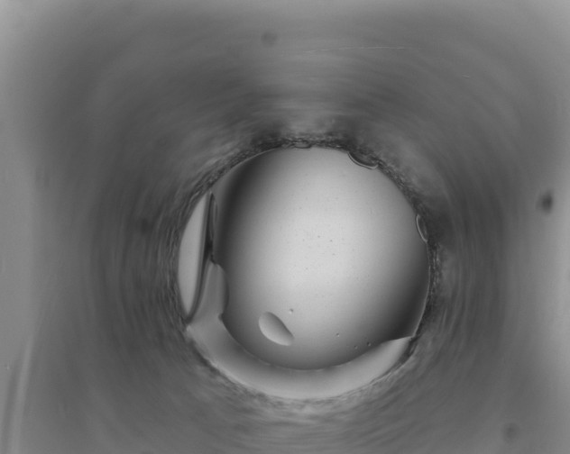 X0000094350033200711091502