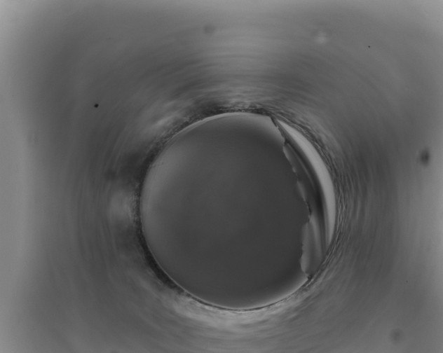 X0000094350035200711091502