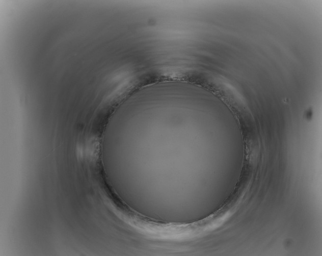 X0000094350036200711091502