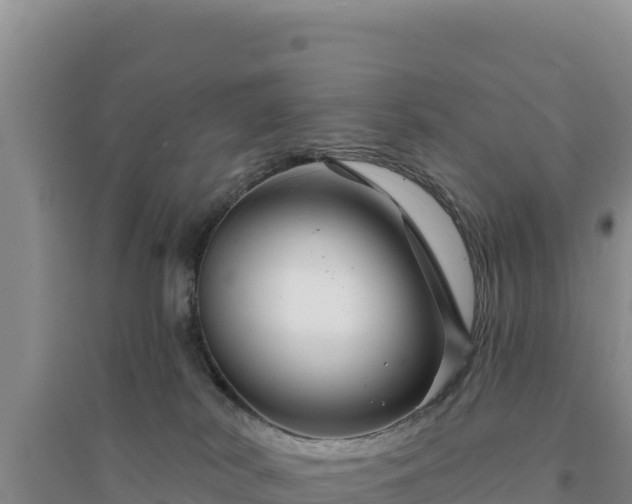 X0000094350038200711091502