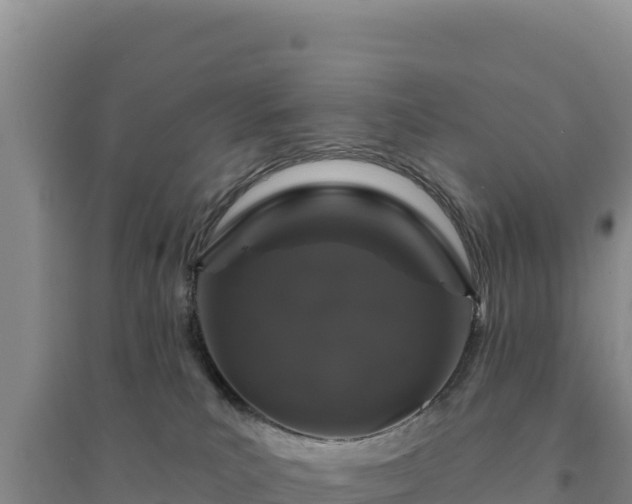 X0000094350039200711091502