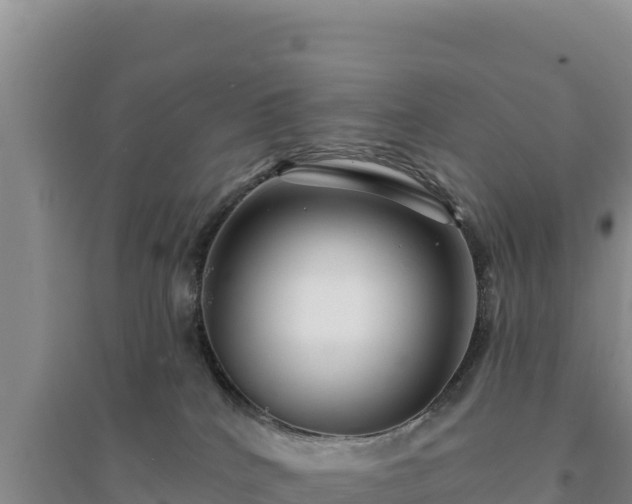 X0000094350040200711091502