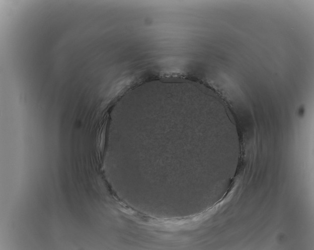 X0000094350041200711091502