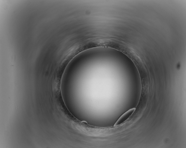 X0000094350044200711091502