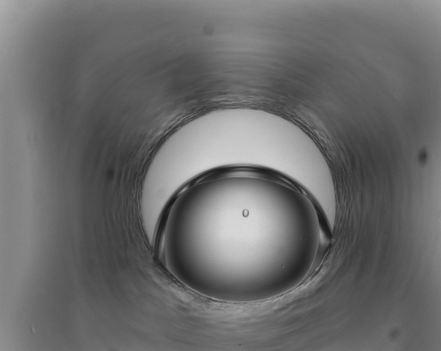 X0000094350045200711091502