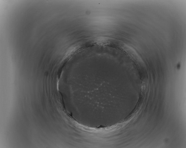 X0000094350046200711091502