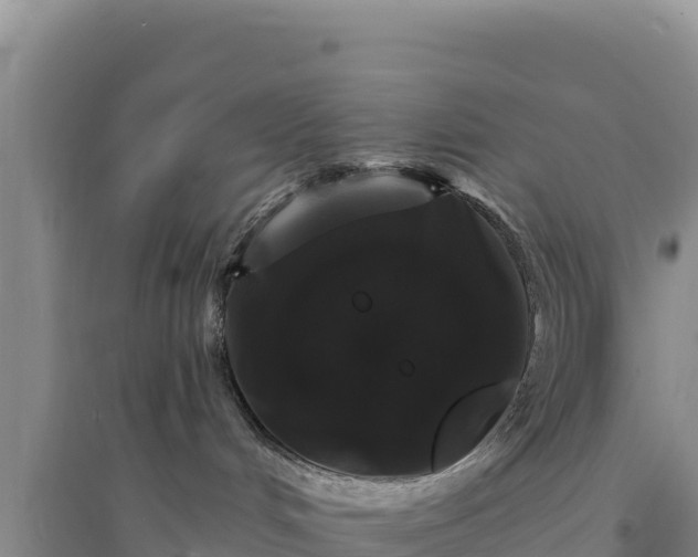 X0000094350048200711091502