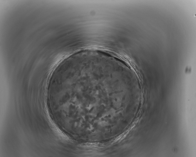 X0000094350049200711091501