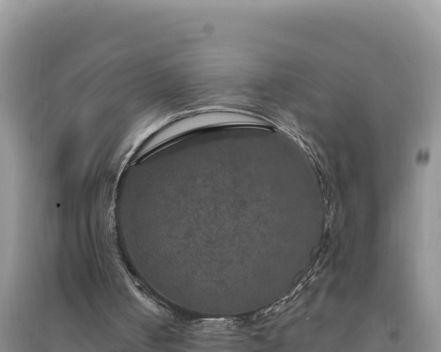 X0000094350050200711091501