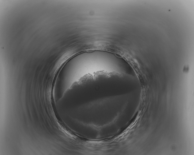 X0000094350051200711091501