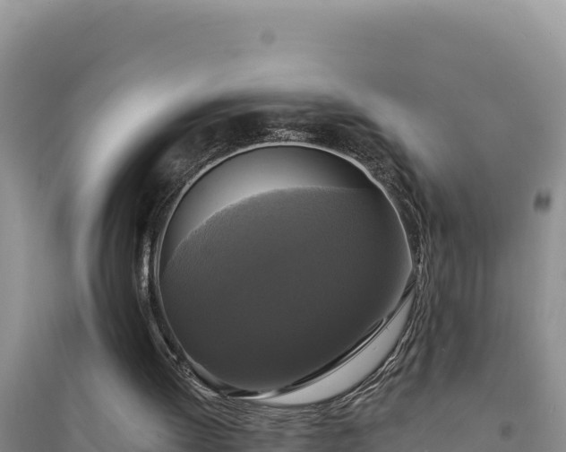 X0000094350052200711091501