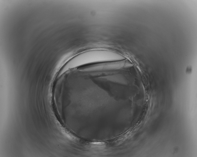 X0000094350053200711091501